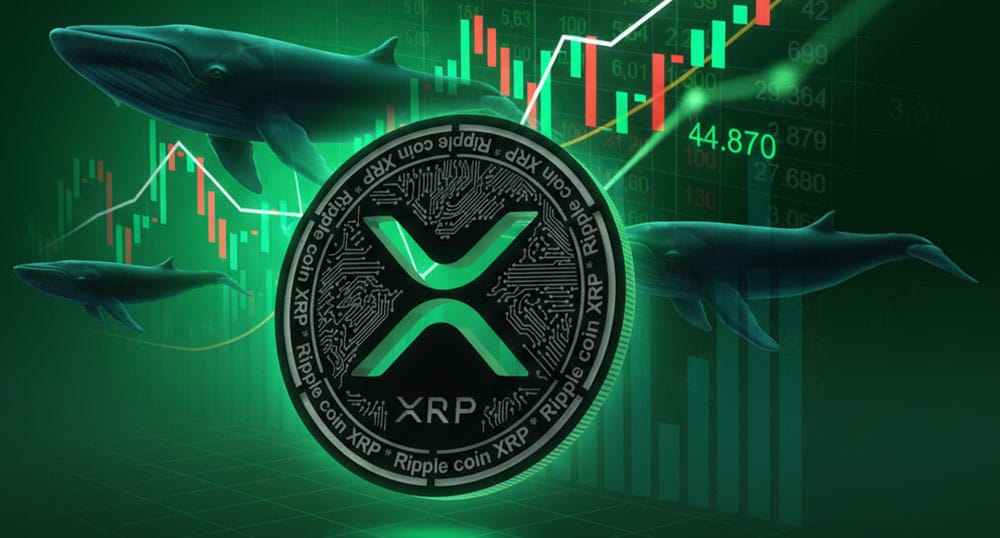 عوامل تاثیرگذار بر قیمت ریپل امروز