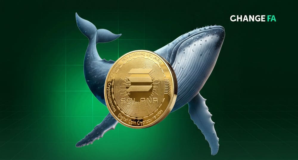 بررسی جریان سرمایه و بازیگران بزرگ بازار